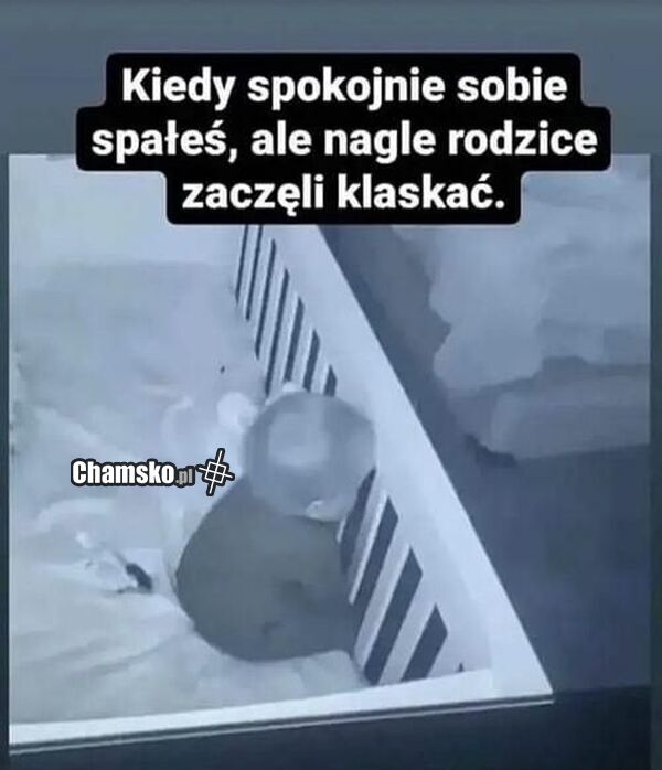 Klaskanie