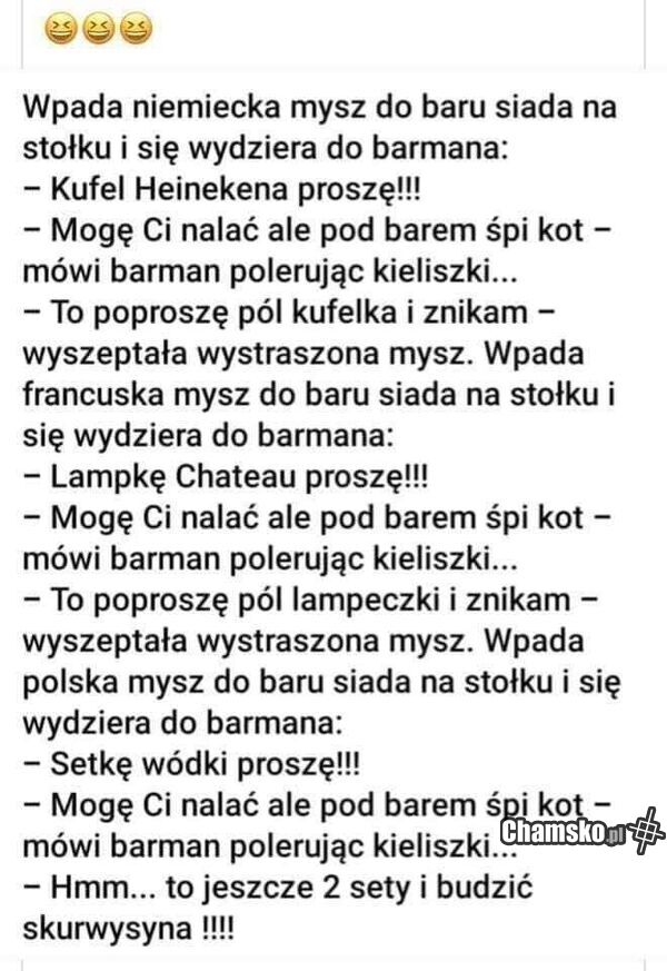 Mysz wpada do baru