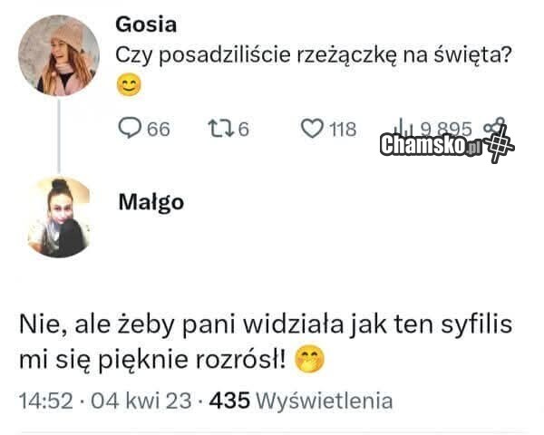 Posadziliście też?