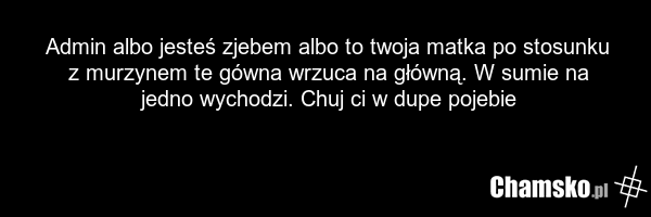 Admin albo jesteś zjebem albo to twoja matka po stosunku z murzynem te gówna wrzuca na główną. W sumie na jedno wychodzi. Chuj ci w dupe pojebie