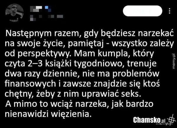 Perspektywa