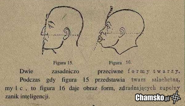 Rysy twarzy według starych książek