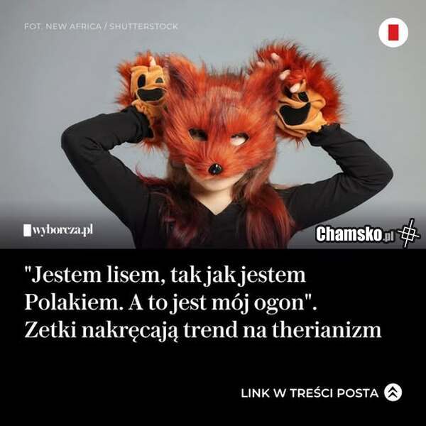 Co ćpają w redakcji wyborczej ?