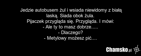 Jedzie autobusem żul i wsiada niewidomy z białą laską. Siada obok żula. Pijaczek przygląda się. Przygląda. I mówi: - Ale ty to masz dobrze..... - Dlaczego? - Metylowy możesz pić....