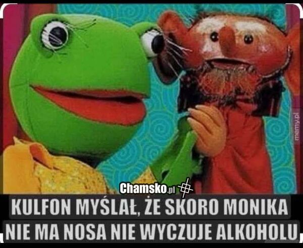 Brak nosa