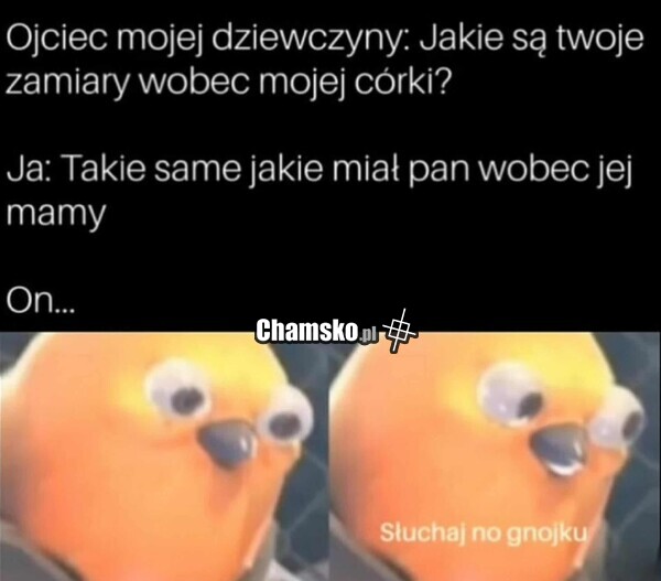 Zamiary wobec córki