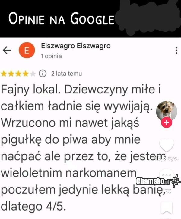 Opinia