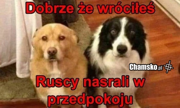 Co oni znowu zrobili...