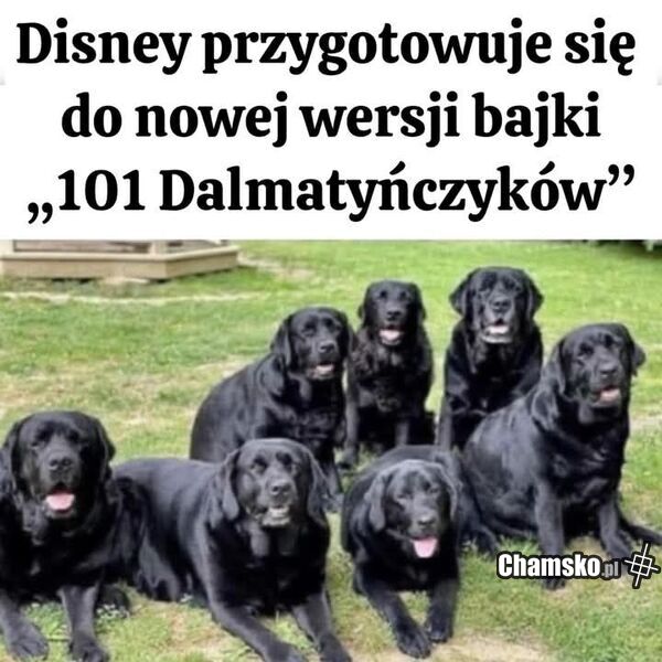 101 dalmatyńczyków