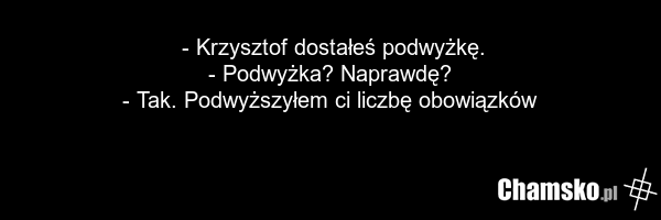 - Krzysztof dostałeś podwyżkę. - Podwyżka? Naprawdę? - Tak. Podwyższyłem ci liczbę obowiązków