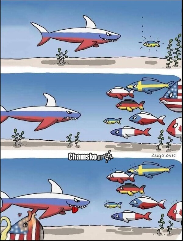 0_1_129195_W_grupie_sila_przez_pluszowym