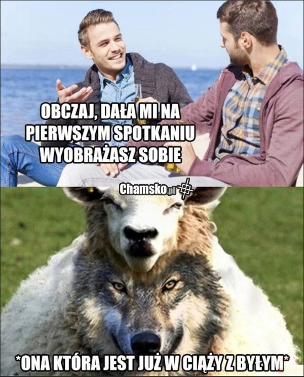 Wilk w owczej skórze