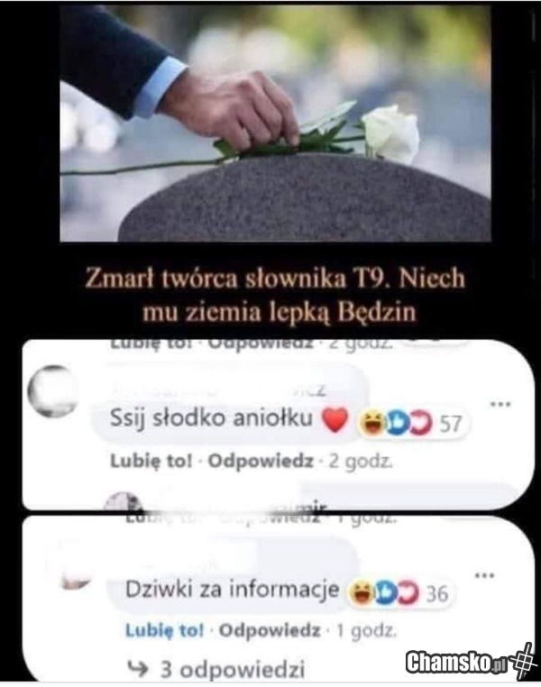 Ciekawostki ze świata