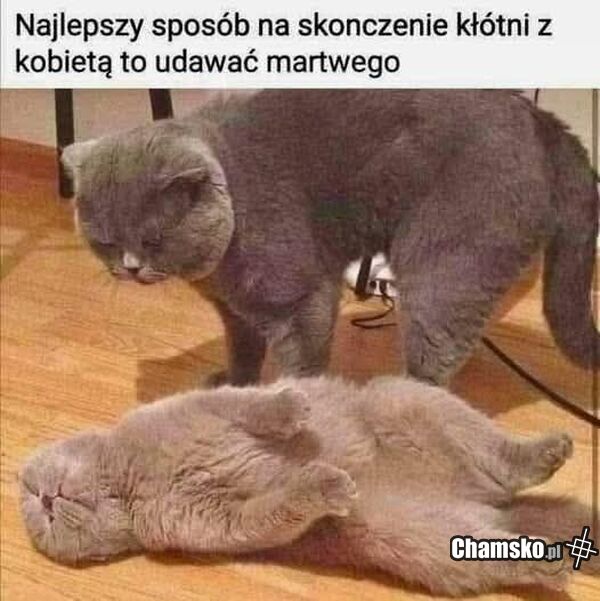 Zakończenie kłótni