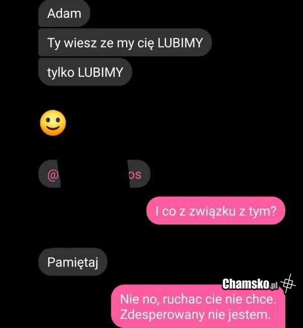 Tylko się lubimy