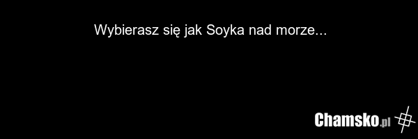 Wybierasz się jak Soyka nad morze...