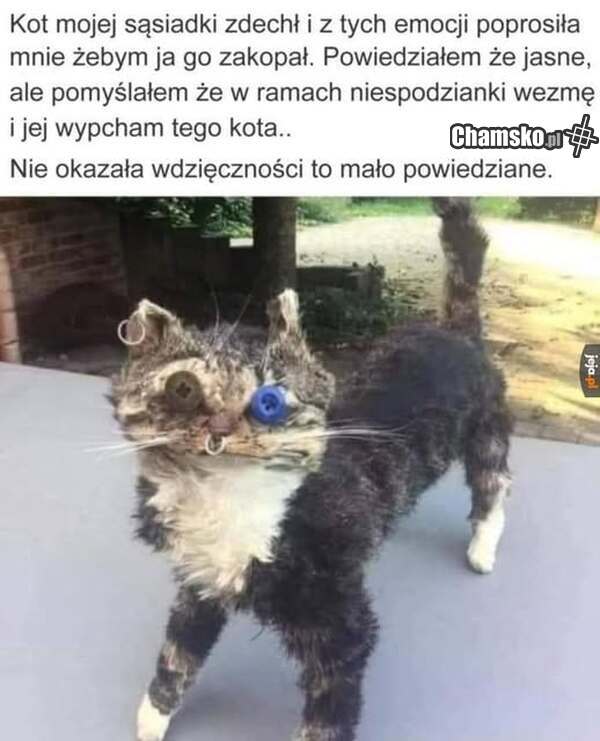 Brak wdzięczności