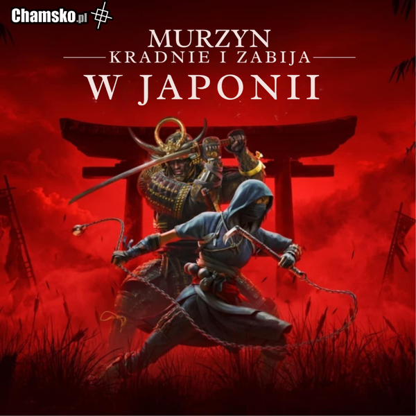 Prawidłowy tytul