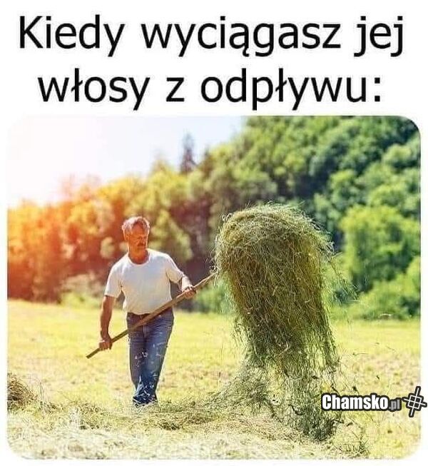 Mieszkanie z babami