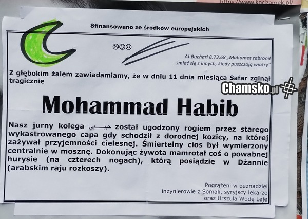 Powieszone gdzieś na tablicy z ogłoszeniami