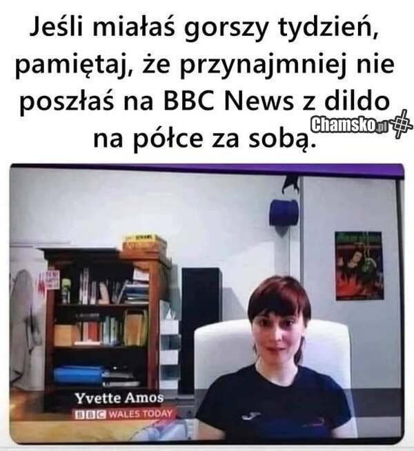 0_1_129295_Dildos_przez_Grzybis%C5%82aw.