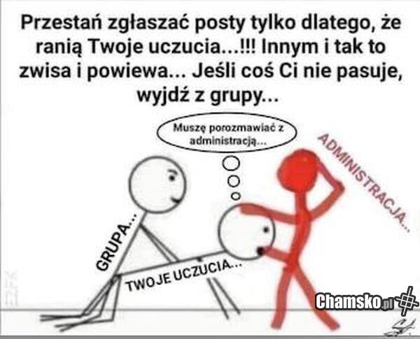 Zgłaszanie postów
