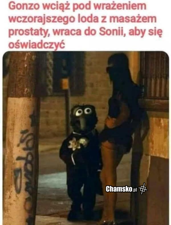 Gdy jesteś zadowolony z usługi
