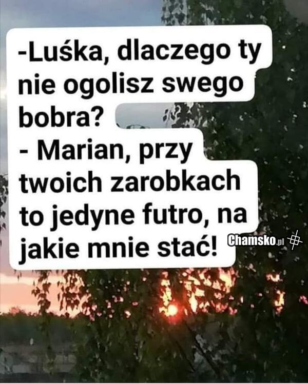 Golenie bobra