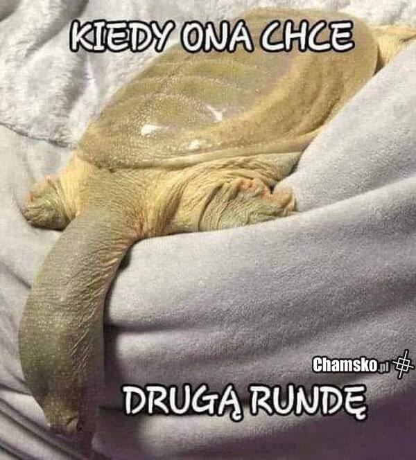 Druga runda