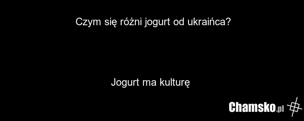 Czym się różni jogurt od ukraińca? Jogurt ma kulturę