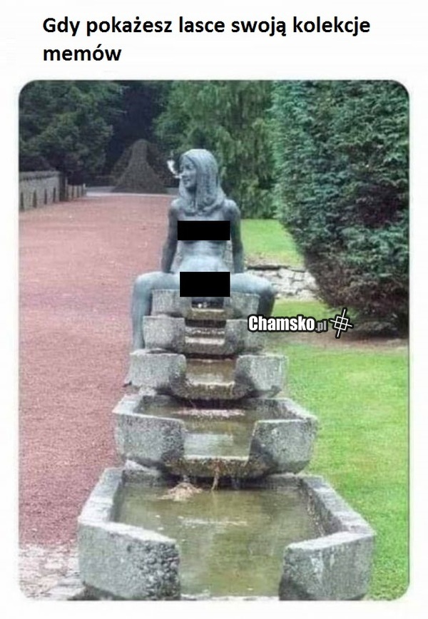 Kolekcja memów