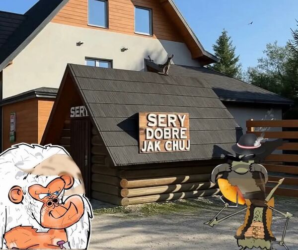 Pyszne sery