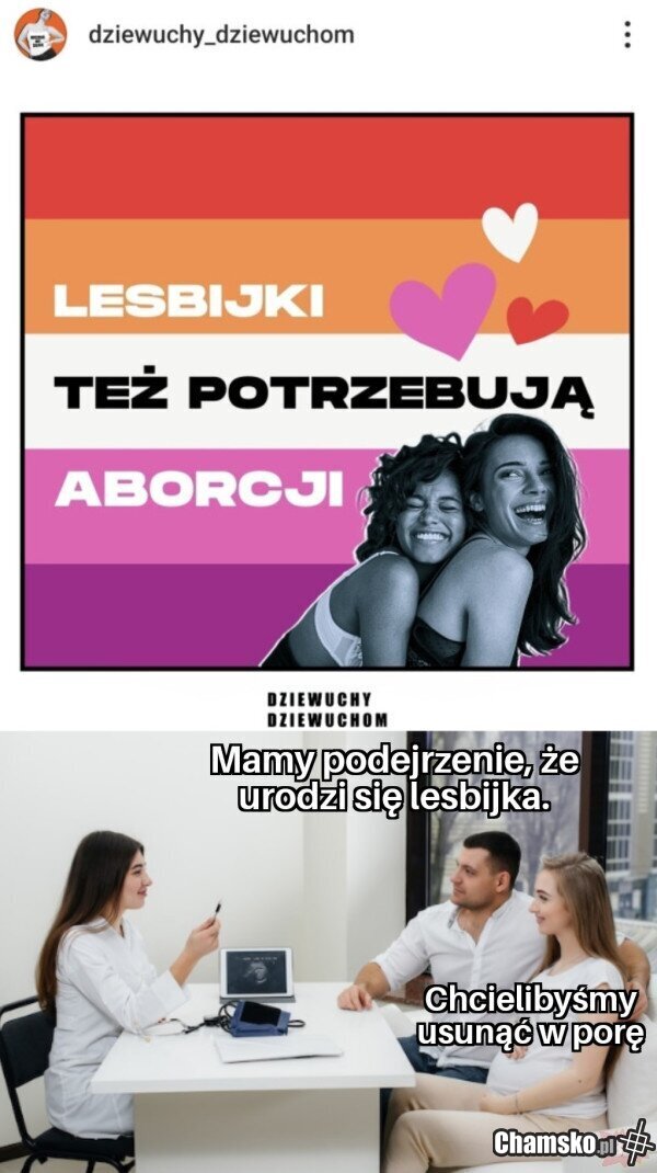 Warto abortować lesby.