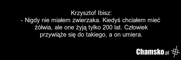 Krzysztof Ibisz: - Nigdy nie miałem zwierzaka. Kiedyś chciałem mieć żółwia, ale one żyją tylko 200 lat. Człowiek przywiąże się do takiego, a on umiera.