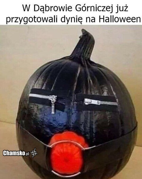 Dynia