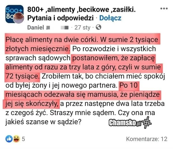 Alimenty, kogoś posrało