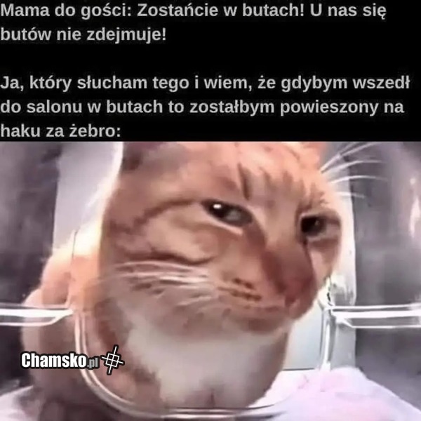 Chodzenie w butach
