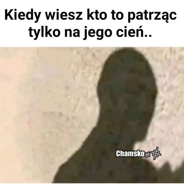 Znajomy cień