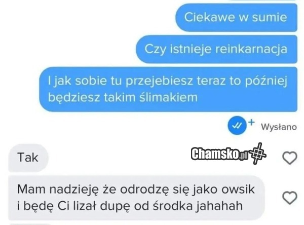 Reinkarnacja