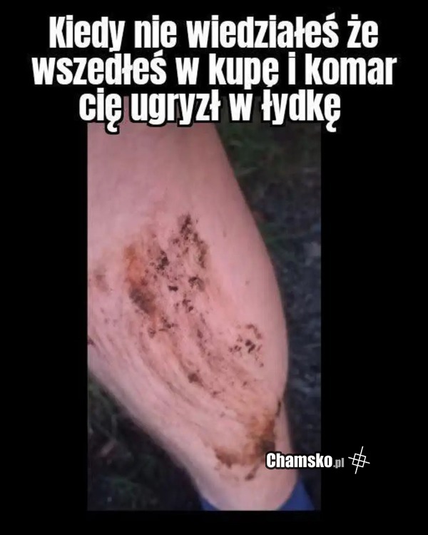 Komar