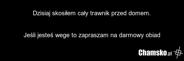 Dzisiaj skosiłem cały trawnik przed domem. Jeśli jesteś wege to zapraszam na darmowy obiad