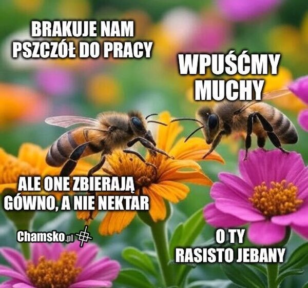 Obrazek