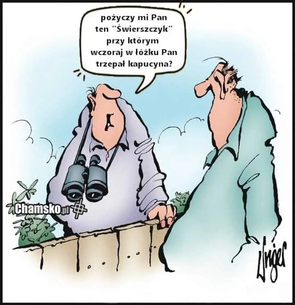 Podglądanie