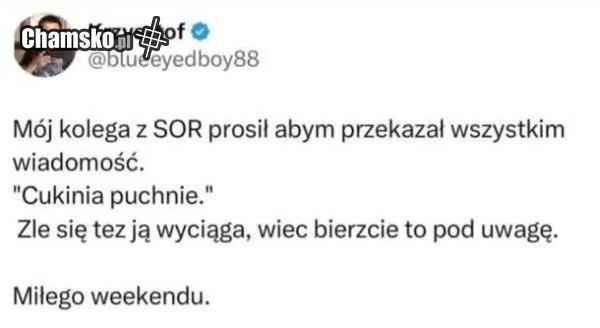 Cukinia