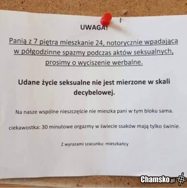 Spiewaczka