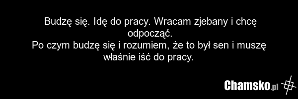 Budzę się. Idę do pracy. Wracam zjebany i chcę odpocząć. Po czym budzę się i rozumiem, że to był sen i muszę właśnie iść do pracy.