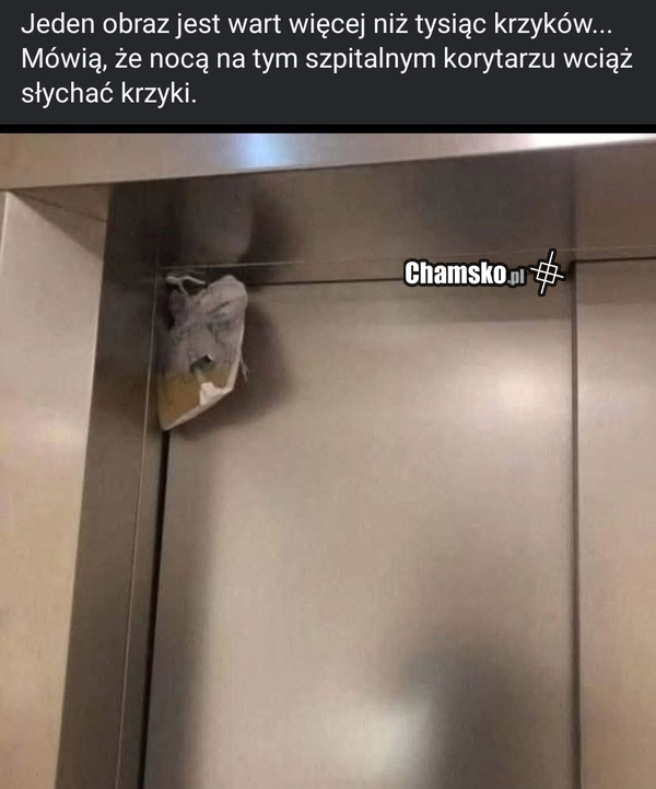 Cewniczek