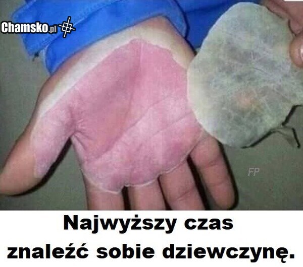 Dłoń admina chamsko.pl