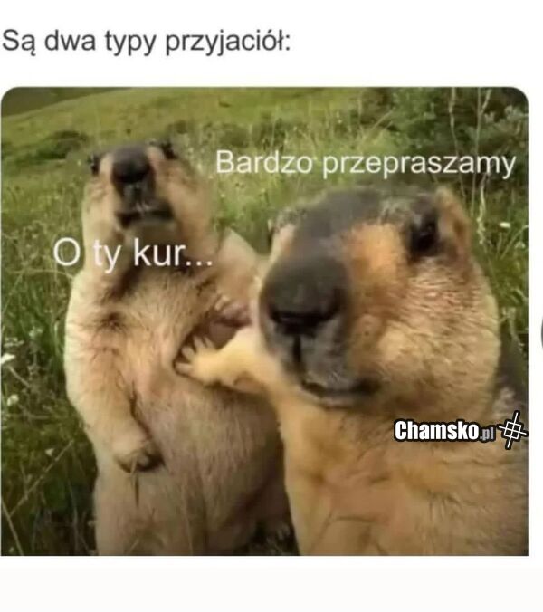 Dwa typy przyjaciół
