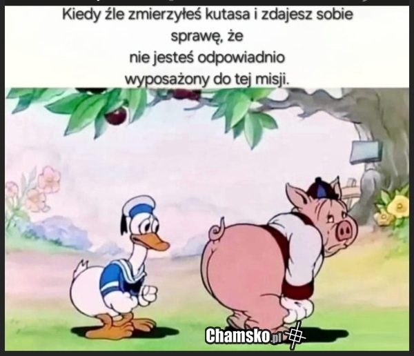 Złe obliczenia